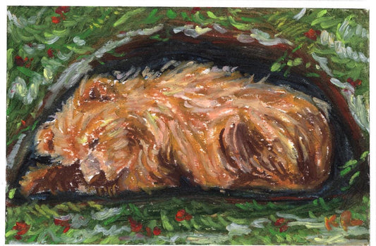 Hibernation Print